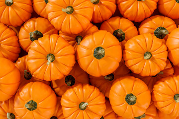A pile of orange color fresh whole pumpkins sitting on on top of each other from above view.