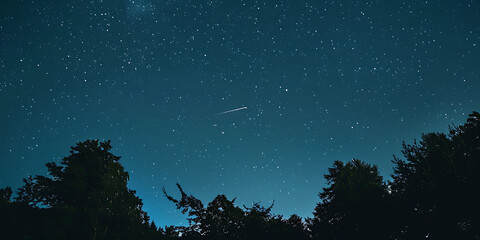 Fototapeta premium A shooting star streaks across a vast, star-filled night sky above silhouetted trees.