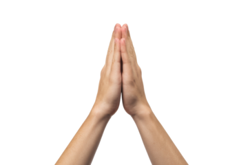 praying hands isolated on white background.