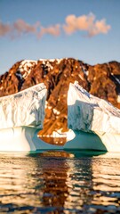Icebergs in a sunlit arctic landscape