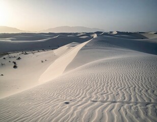 Vast expanse of white sand dunes, bathed in soft morning light, gentle undulations, distant mountains, sparse desert plants