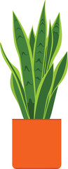 Snake Plant Houseplant in Modern Orange Pot with Tall Green Leaves, Minimalist Botanical Indoor Accent for Home Decor, Fresh Nature Art, and Stylish Living Spaces