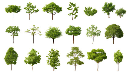 Fototapeta premium set of bush trees view from above on white background