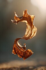 Abstract Floating Leaf - A Dance of Natures Beauty.