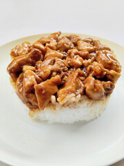 Delicious Japanese Teriyaki Chicken Served with Steamed Rice