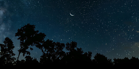 A serene crescent moon hangs in a star-filled night sky above silhouetted trees.