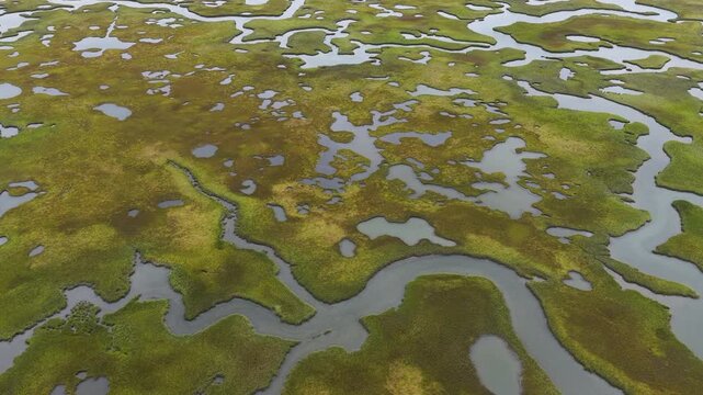 Sinuous channels meander through a beautiful salt marsh on Cape Cod, Massachusetts. These natural carbon sinks are sheltered nurseries for wildlife and act as a buffer against storms and waves.