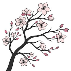 dogwood pink on white background 