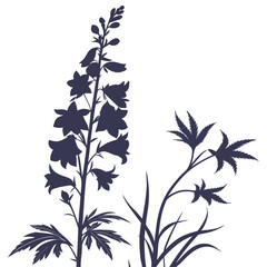 Obraz premium black and white delphinium