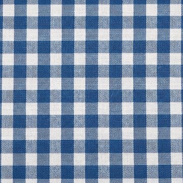 A close-up view of a classic blue and white gingham fabric, showcasing a repeating pattern of squares.