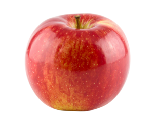 Would you like me to generate a few alternative names in the same simple style so you can choose the one that fits best?