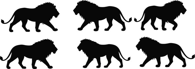 Naklejka premium Silhouettes of walking lions, wild animal shapes, African wildlife illustration, majestic male lions in various poses, nature vector design