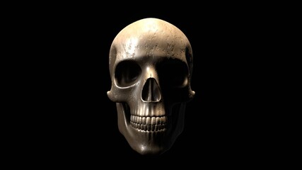 Photorealistic Human Skull.A highly detailed, photorealistic 3D rendering of a human skull. The dramatic lighting creates a striking, cinematic mood. Perfect for projects with a mysterious, historical