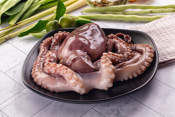 Gourmet luxury raw wild octopus