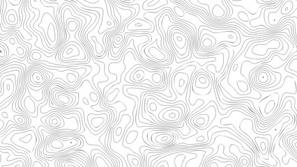 Abstract topographic lines background. Minimalist gray and white line art. Organic contour lines pattern. Abstract wavy line texture. Modern organic pattern for design