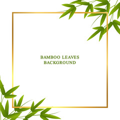 Bamboo background green leaves illustration
