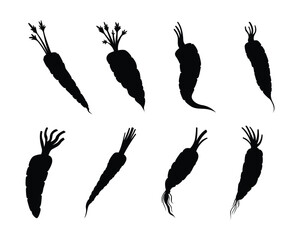 carrot set collection pack bundle black shape icon silhouette vector flat illustration design on white background