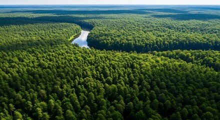 Lush forest canopy with a winding river, showcasing the vibrant green hues of a thriving ecosystem.