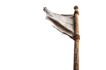 a flag is flying high in the sky