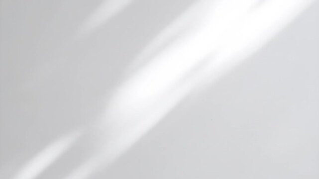 Light & shadow play across plain white wall