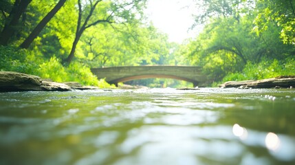 Stone Bridge Over River in Green Forest