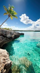 Tropical Coast with Palm Tree and Clear Water