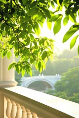 Green Leaves with Sunlight on Balcony
