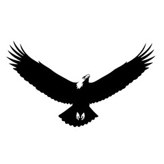 Obraz premium Eagle Soaring with Wings Spread in Black Silhouette