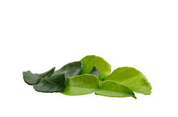 Bergamot kaffir lime leaves herb fresh ingredient isolated on transparen png.