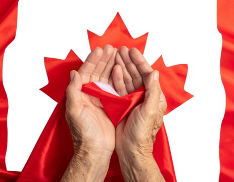  A pair of aged hands covered by the Canadian flag fabric, side perspective with fabri - Powered by Adobe