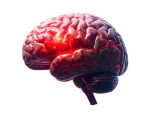 Human brain with red highlight indicating an issue on transparent background