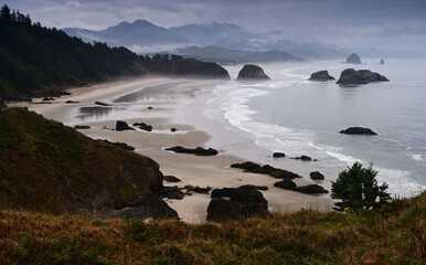 Morning fog over the Oregon coast