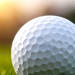 Golf ball close-up on grass