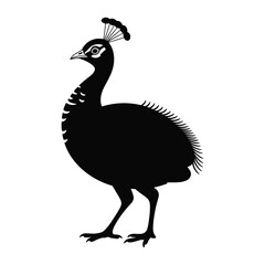 Silhouette of a majestic peacock standing with its distinctive crest and feathered body