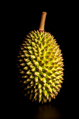 Exotic Spiky Durian — Whole Tropical Rare Fruit Known as the King of Fruits