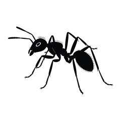 Detailed silhouette of a black ant with prominent antennae and legs