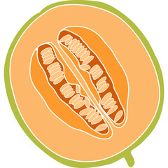 Vector illustration of cantaloupe melon sliced in half, showing orange flesh and seeds. Perfect for food, nutrition, and summer fruit design.