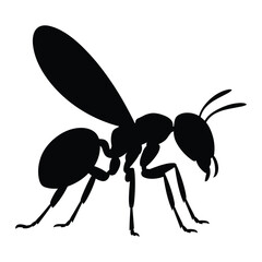 Silhouette of a winged ant with clear segmented body and antennae