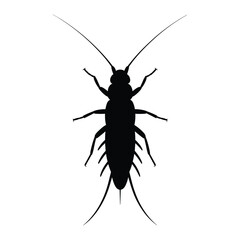 Silhouette of a long bodied insect with prominent antennae and legs against a white background