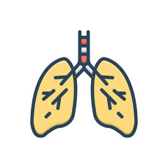 Color illustration icon for lungs