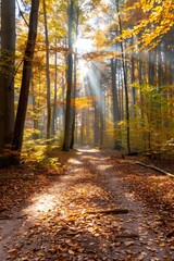 Fototapeta premium Sunbeams illuminating path covered with fallen leaves in autumn forest