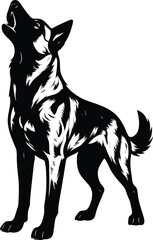 Howling Belgian Malinois Guard dog Silhouette