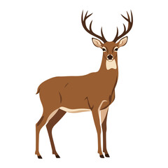 A majestic brown male deer with large antlers standing proudly, depicted in a clean vector illustration style against a white background.