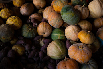 Pumpkins at a street market, Indonesia