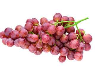 red grapes isolated on white