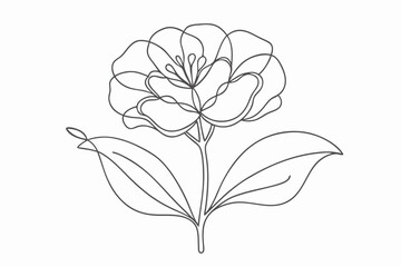 Single Flower Line Art Illustration with Leaves