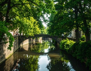 Picturesque canal with trees