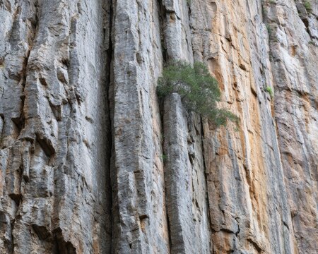Professional High-Quality Close-Up of Mount Arapiles Rock Faces with Vertical Striations for Adventure Sports Marketing and Sustainable Lifestyle Campaigns