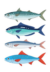 Illustration of four different types of fish