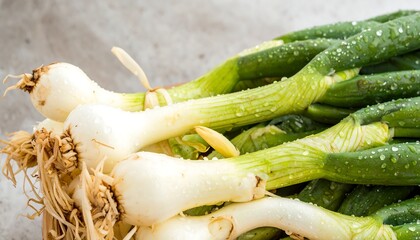 Fresh green onions, close-up, wet, roots visible